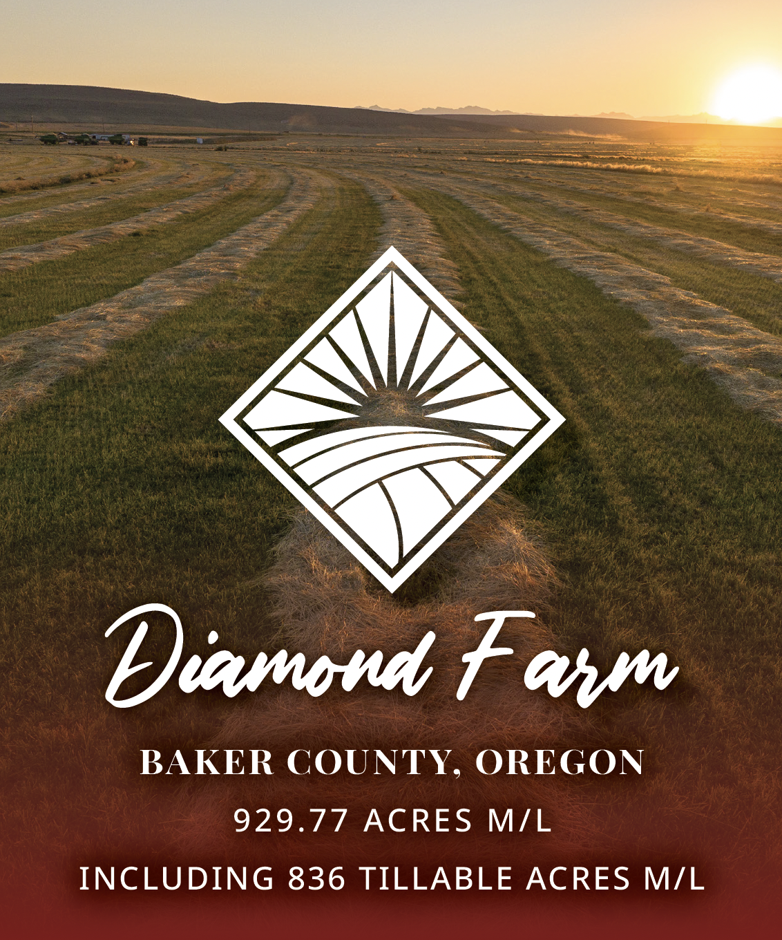 Diamond Farm